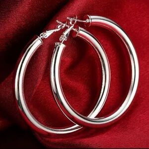 Timeless Silver Hoop Earrings with Hinged Closure